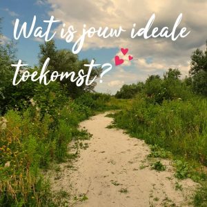 wat is jouw ideale toekomst